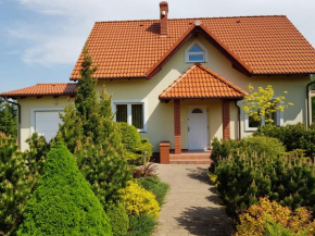 Dom Wakacyjny Z Widokiem Na Jezioro w Borzechowie, Borzechowo